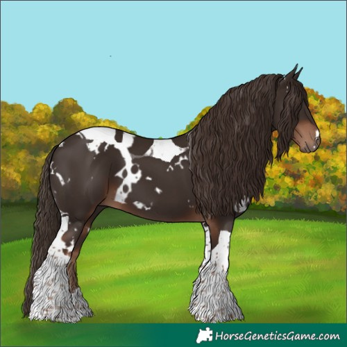 Horse Color:White Spotted Liver Chestnut Tobiano 