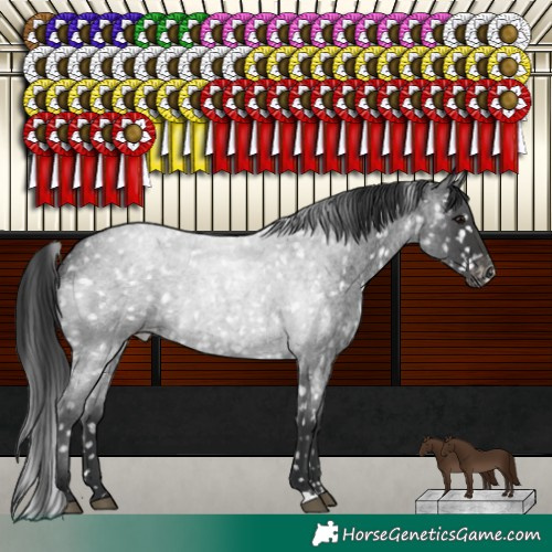 Horse Color:Blue Roan Snowflake Varnish