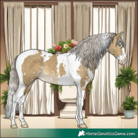 Horse Color:White Spotted Silver Buckskin Dun Splash Tobiano 