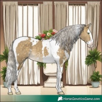 Horse Color:White Spotted Silver Buckskin Dun Splash Tobiano