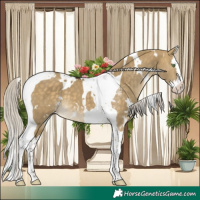 Horse Color:White Spotted Silver Buckskin Dun Splash Tobiano 