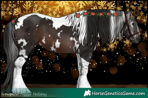 Horse Color:Gray White Spotted Bay Tobiano