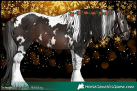 Horse Color:Gray White Spotted Bay Tobiano 