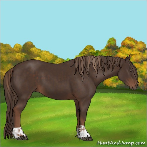 Horse Color:Liver Chestnut  and Liver Chestnut 