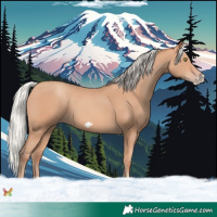 Horse Color:Silver Amber Champagne Frame 