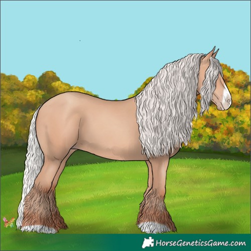 Horse Color:Silver Amber Champagne Frame 