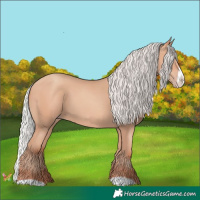 Horse Color:Silver Amber Champagne Frame 