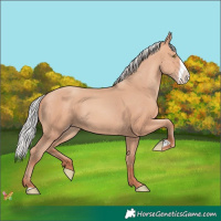 Horse Color:Silver Amber Champagne Frame