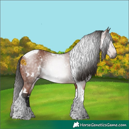 Horse Color:Gray White Spotted Bay Tobiano 