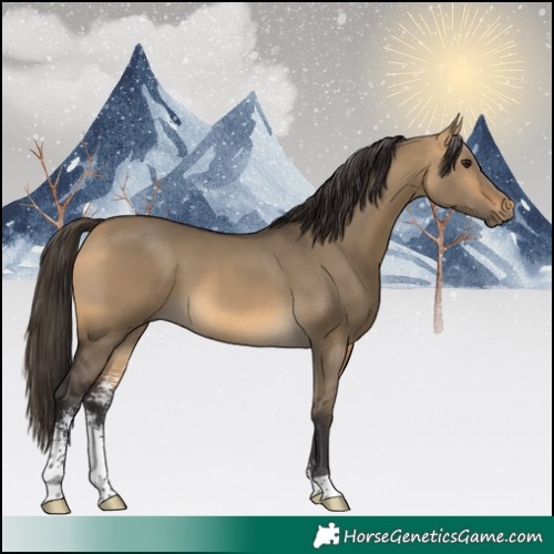 Horse Color:Buckskin Dun Sabino 