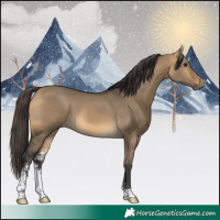Horse Color:Buckskin Dun Sabino 