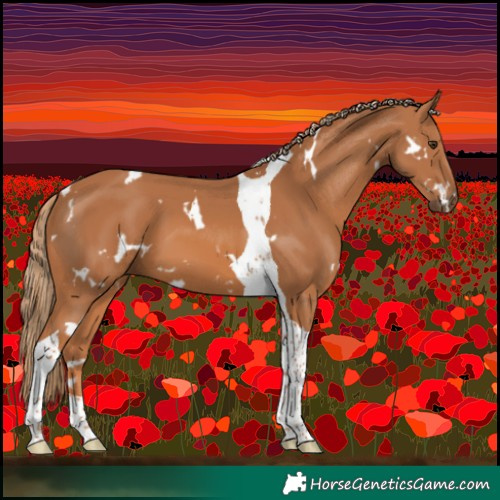 Horse Color:White Spotted Chestnut Tobiano