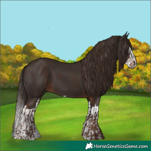 Horse Color:Liver Chestnut  and Liver Chestnut Splash 