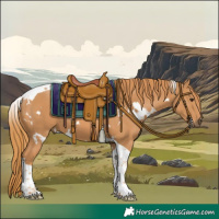 Horse Color:White Spotted Chestnut Tobiano