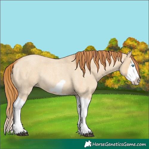 Horse Color:Red Dun Roan Splash Frame Rabicano