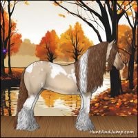 Horse Color:White Spotted Red Dun Tobiano