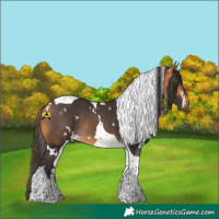 Horse Color:White Spotted Buckskin Tobiano 