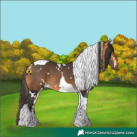Horse Color:White Spotted Buckskin Tobiano 