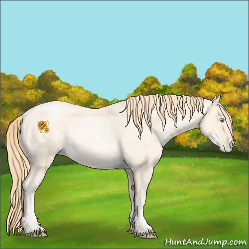 Horse Color:Buckskin Roan Pearl Dun  and Buckskin Roan Pearl 
