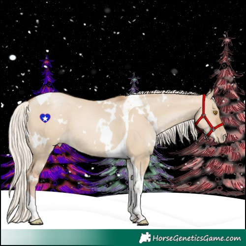 Horse Color:White Spotted Silver Grullo Pearl Tobiano 