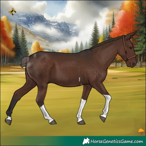 Horse Color:Liver Chestnut Tobiano 