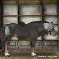 Horse Color:Liver Chestnut Tobiano 