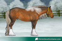 Horse Color:Chocolate Palomino Tobiano 