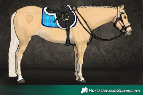 Horse Color:Palomino 