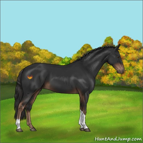 Horse Color:Liver Chestnut Tobiano 