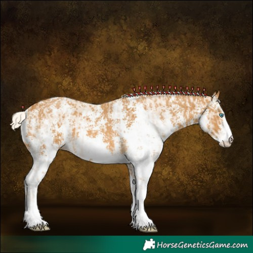 Horse Color:Cremello Sabino and Palomino Sabino