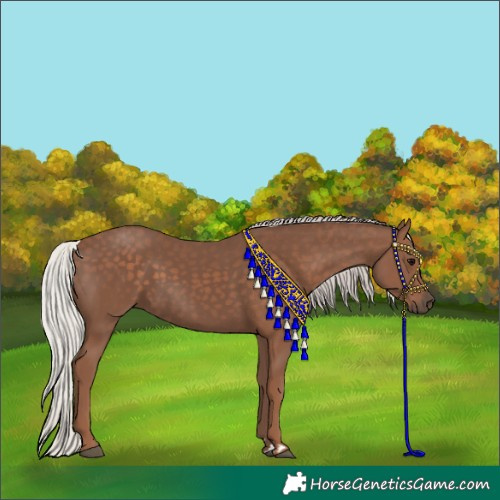 Horse Color:Silver Black 