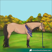 Horse Color:Bay Dun