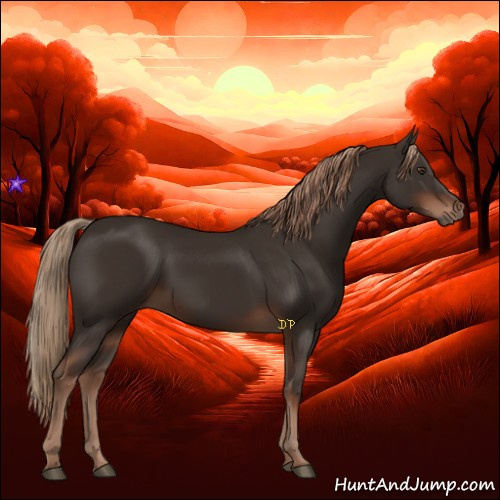 Horse Color:Liver Chestnut Rabicano 