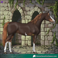 Horse Color:White Spotted Liver Chestnut 
