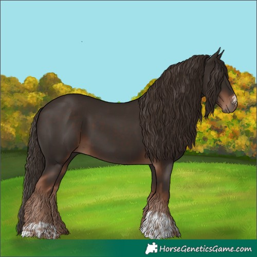 Horse Color:Liver Chestnut and Liver Chestnut