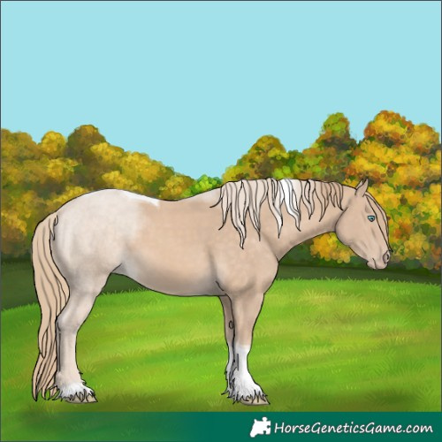 Horse Color:Perlino Tobiano 