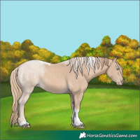 Horse Color:Perlino Tobiano 