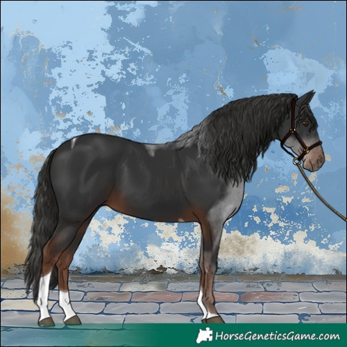 Horse Color:Liver Chestnut Tobiano 