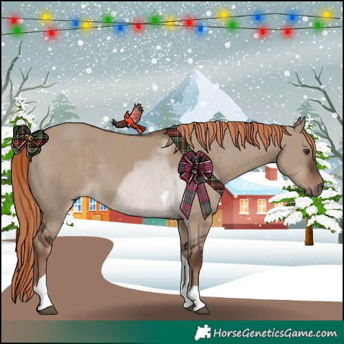 Horse Color:Liver Red Dun Tobiano