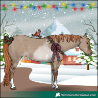 Horse Color:Liver Red Dun Tobiano 