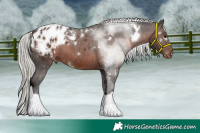 Horse Color:White Spotted Silver Brown Tobiano Blanket