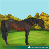 Horse Color:Brown 