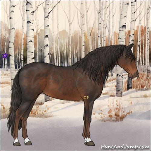Horse Color:Liver Chestnut