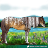 Horse Color:Powder White Chocolate Buckskin 