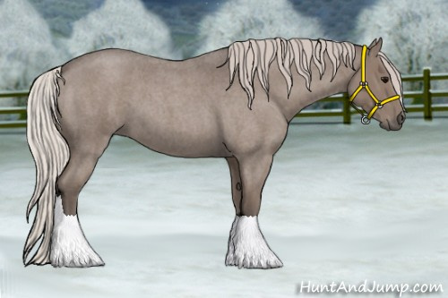 Horse Color:Silver Blue Roan Sabino 