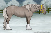 Horse Color:Silver Blue Roan Sabino 
