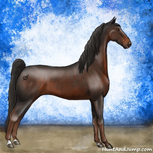 Horse Color:Liver Chestnut 