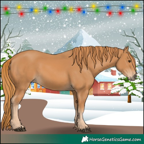 Horse Color:Chestnut Rabicano