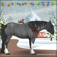Horse Color:Blue Roan Tobiano 