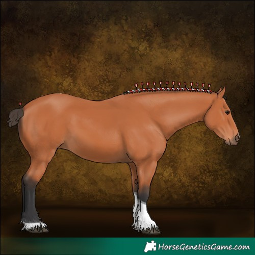 Horse Color:Bay Tobiano 